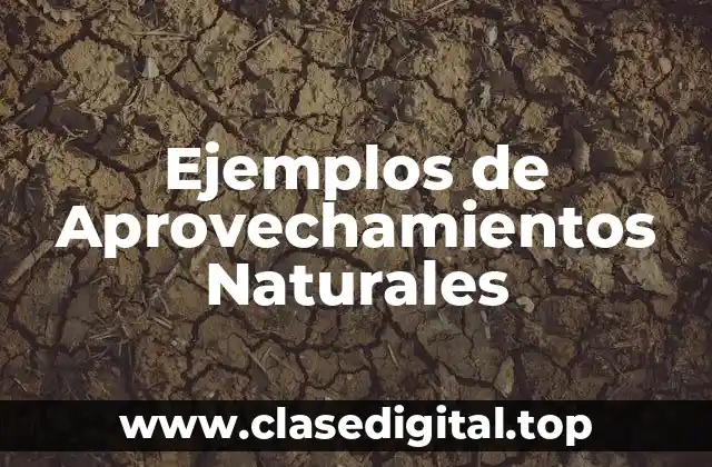 Ejemplos de Aprovechamientos Naturales