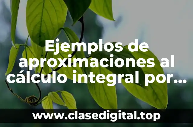 Ejemplos de aproximaciones al cálculo integral por interpretación