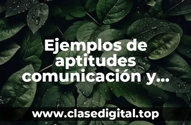 Ejemplos de aptitudes comunicación y Significado