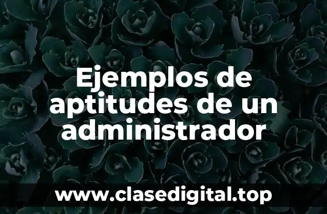 Ejemplos de aptitudes de un administrador