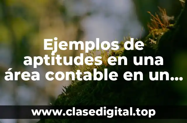 Ejemplos de aptitudes en una área contable en un currículum