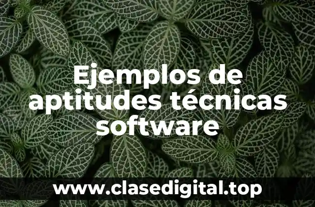 Ejemplos de aptitudes técnicas software
