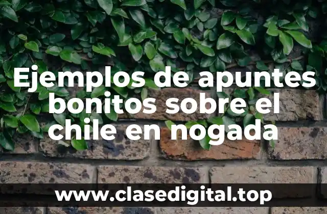 Ejemplos de apuntes bonitos sobre el chile en nogada
