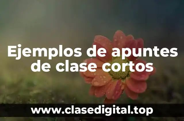 Ejemplos de apuntes de clase cortos