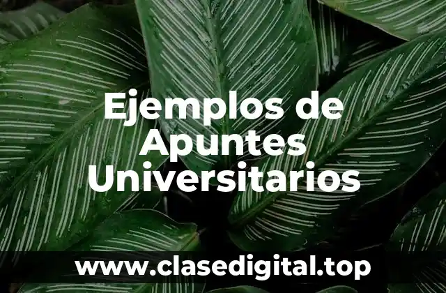 Ejemplos de Apuntes Universitarios