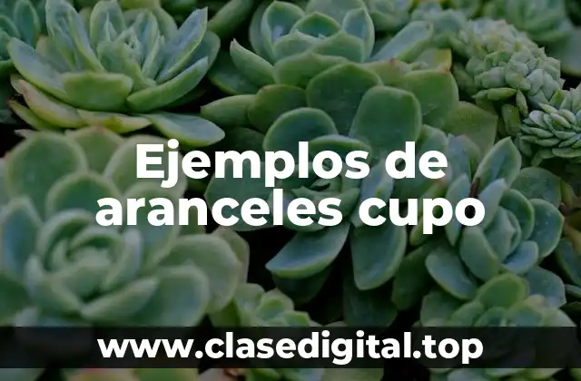 Ejemplos de aranceles cupo