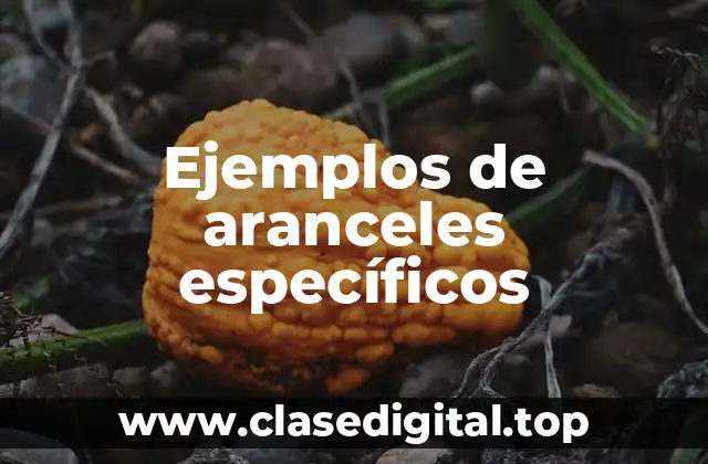 Ejemplos de aranceles específicos
