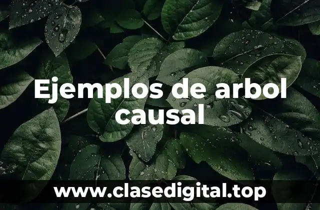 Ejemplos de arbol causal