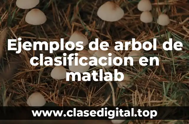 Ejemplos de arbol de clasificacion en matlab