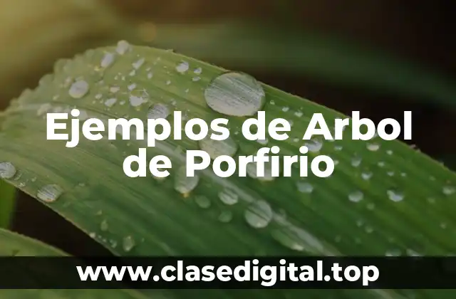 Ejemplos de Arbol de Porfirio