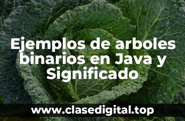 Ejemplos de arboles binarios en Java y Significado