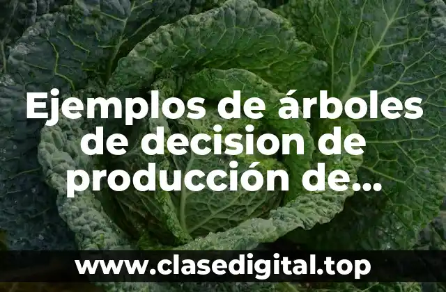 Ejemplos de árboles de decision de producción de tambos