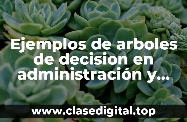 Ejemplos de arboles de decision en administración y Significado