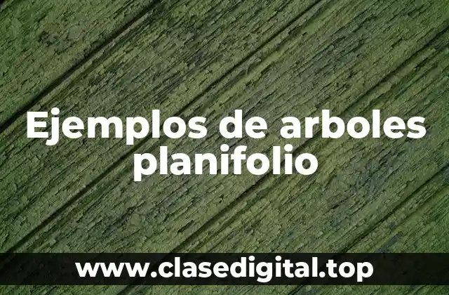 Ejemplos de arboles planifolio