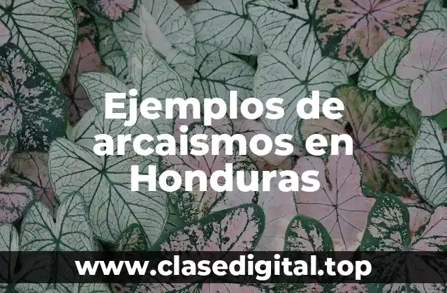 Ejemplos de arcaismos en Honduras