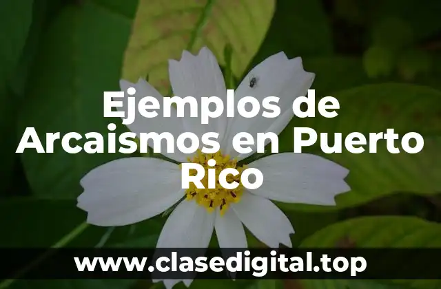 Ejemplos de Arcaismos en Puerto Rico