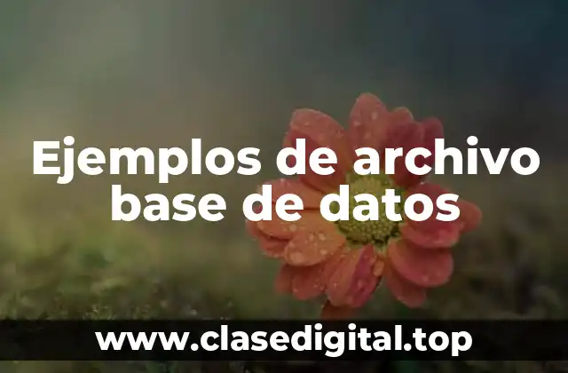 Ejemplos de archivo base de datos