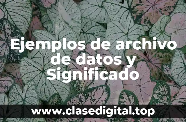 Ejemplos de archivo de datos y Significado