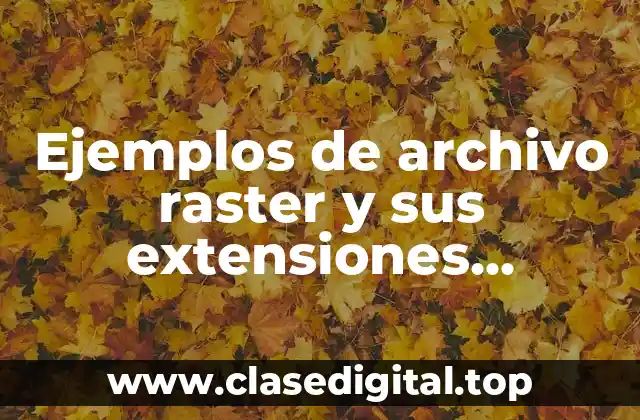 Ejemplos de archivo raster y sus extensiones compatibles con sig
