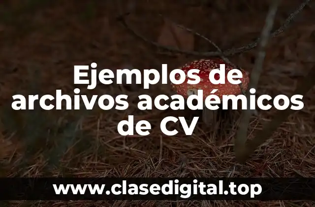 Ejemplos de archivos académicos de CV