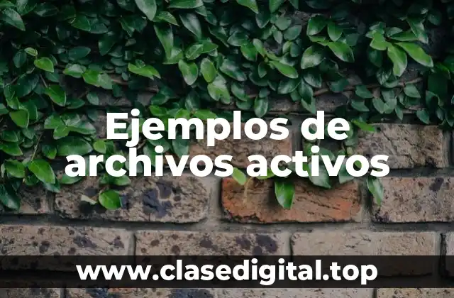 Ejemplos de archivos activos