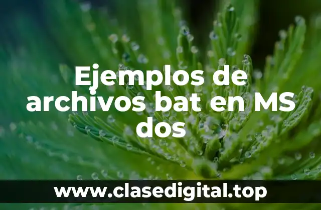 Ejemplos de archivos bat en MS dos