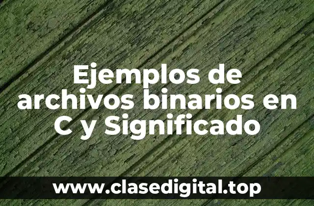 Ejemplos de archivos binarios en C y Significado