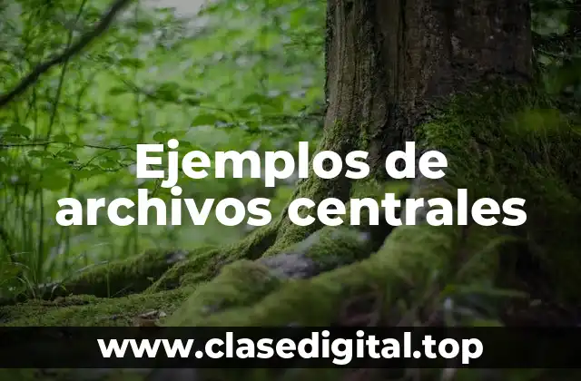 Ejemplos de archivos centrales