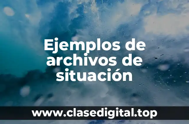 Ejemplos de archivos de situación