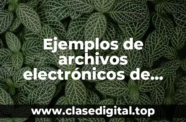 Ejemplos de archivos electrónicos de pedimento aduanal