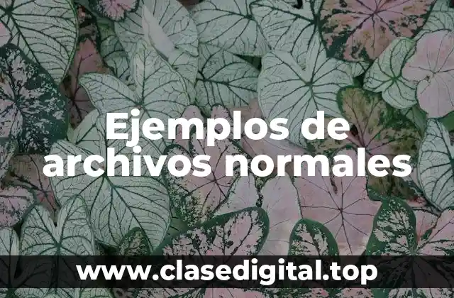 Ejemplos de archivos normales