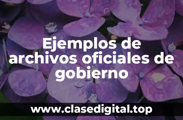Ejemplos de archivos oficiales de gobierno