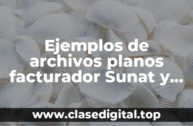Ejemplos de archivos planos facturador Sunat y Significado