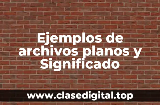 Ejemplos de archivos planos y Significado