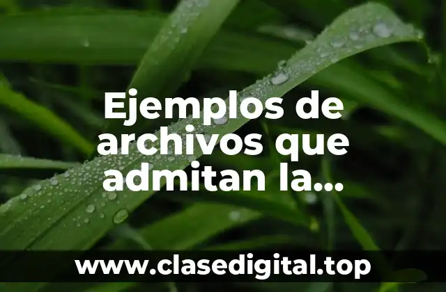 Ejemplos de archivos que admitan la comprensión perdida