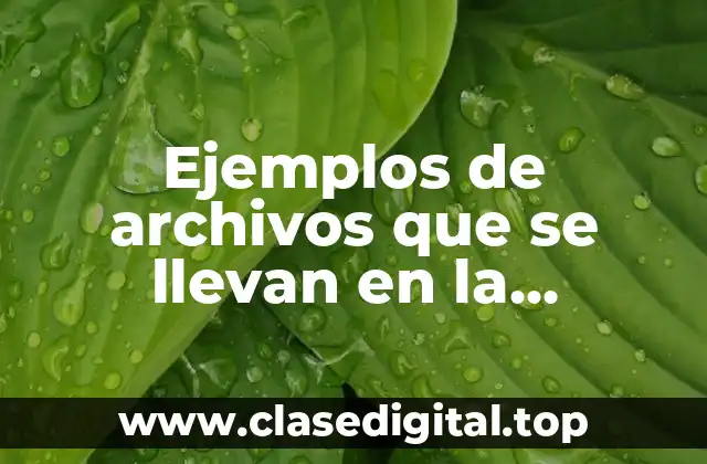 Ejemplos de archivos que se llevan en la consejería