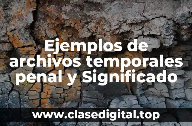 Ejemplos de archivos temporales penal y Significado