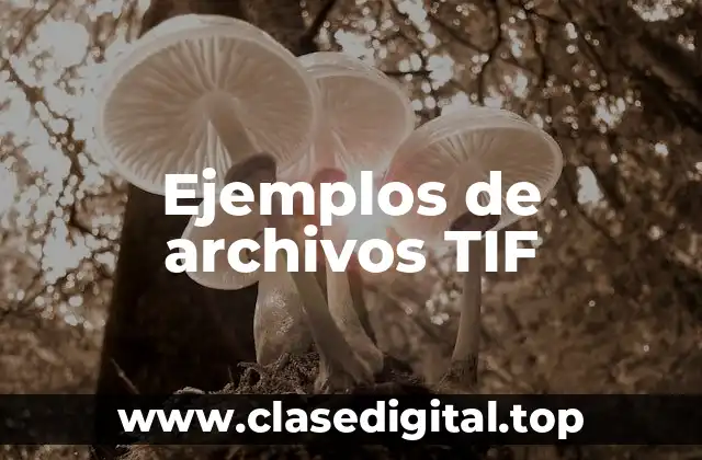Ejemplos de archivos TIF