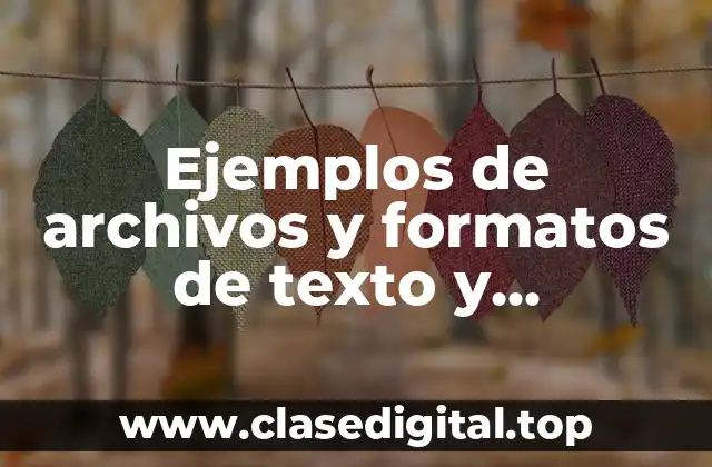 Ejemplos de archivos y formatos de texto y Significado