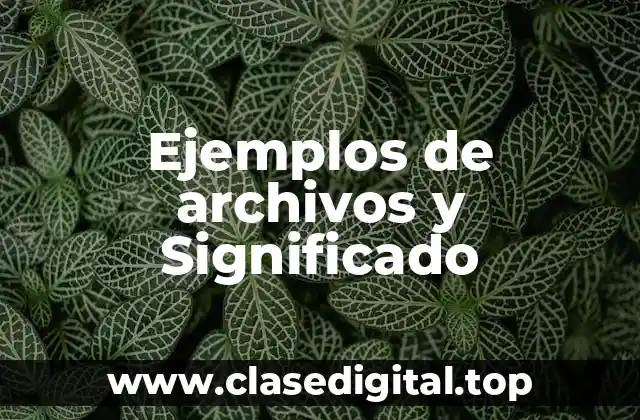 Ejemplos de archivos y Significado