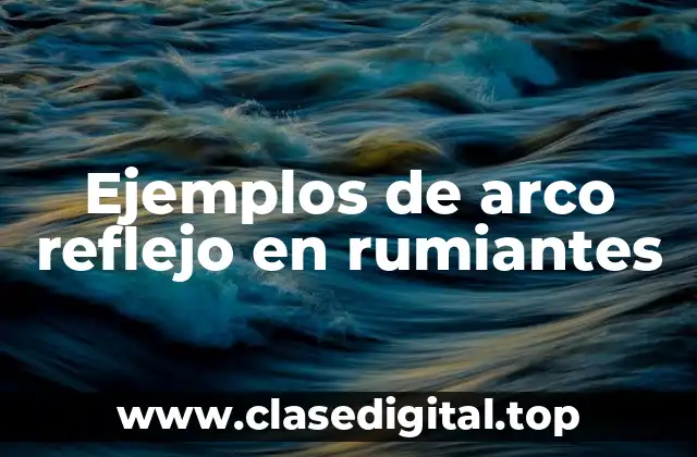 Ejemplos de arco reflejo en rumiantes