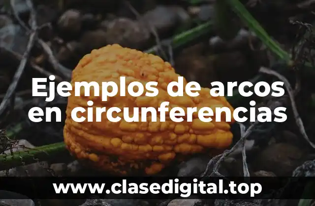 Ejemplos de arcos en circunferencias