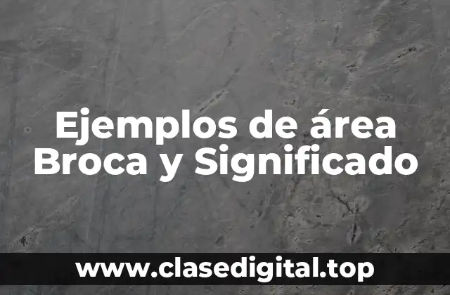 Ejemplos de área Broca y Significado