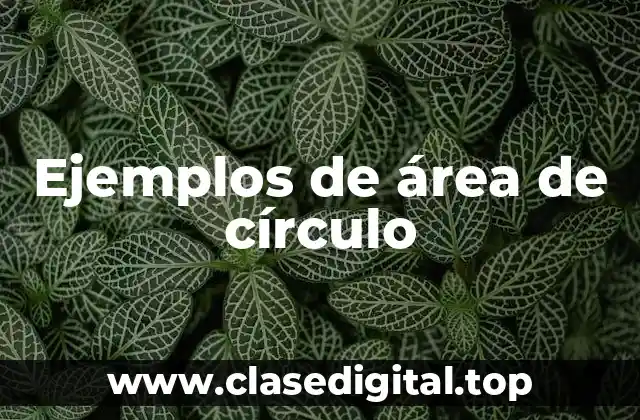 Ejemplos de área de círculo
