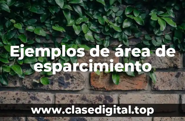 Ejemplos de área de esparcimiento