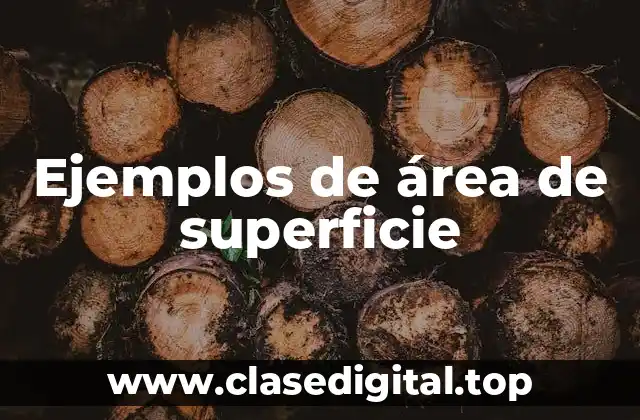 Ejemplos de área de superficie