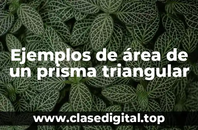 Ejemplos de área de un prisma triangular