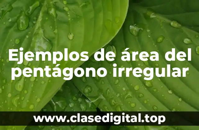 Ejemplos de área del pentágono irregular