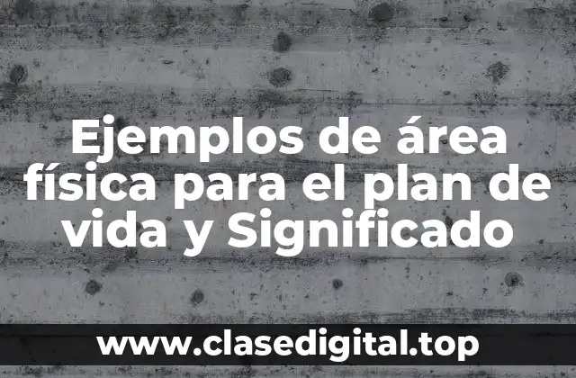 Ejemplos de área física para el plan de vida y Significado