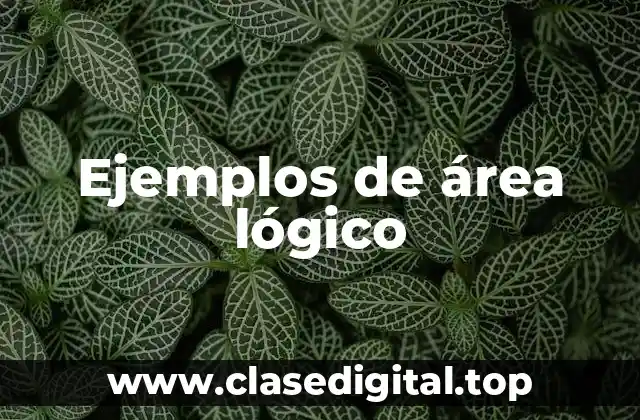 Ejemplos de área lógico